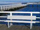 Bellevue Bench