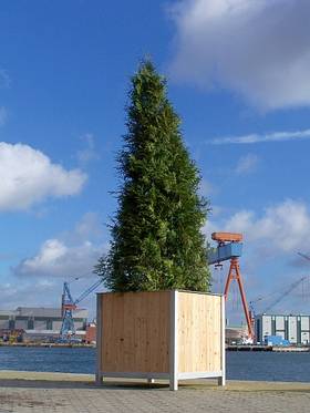 Boulevard Planter Box